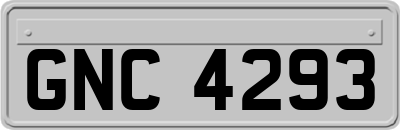 GNC4293