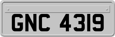 GNC4319