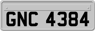 GNC4384