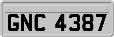 GNC4387