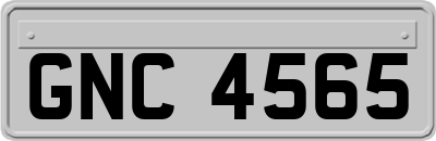 GNC4565