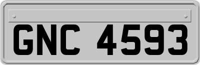 GNC4593