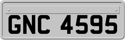 GNC4595