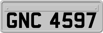 GNC4597