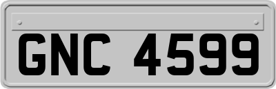 GNC4599