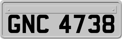 GNC4738