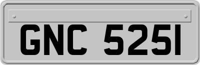 GNC5251