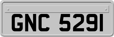 GNC5291