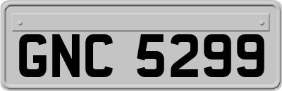 GNC5299