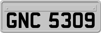 GNC5309