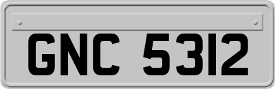GNC5312