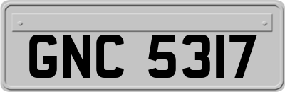 GNC5317