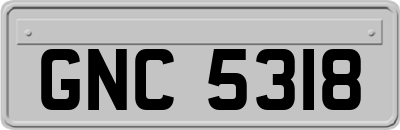 GNC5318