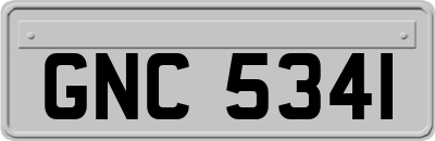 GNC5341