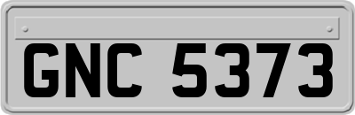 GNC5373