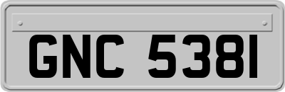 GNC5381