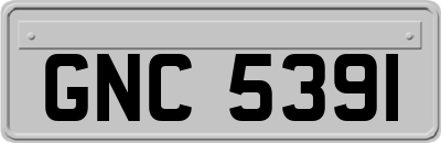 GNC5391