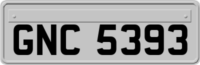 GNC5393