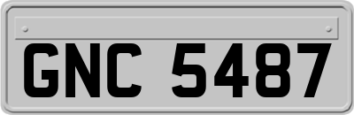 GNC5487