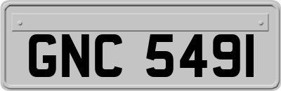 GNC5491
