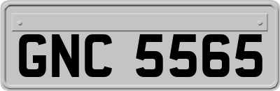 GNC5565