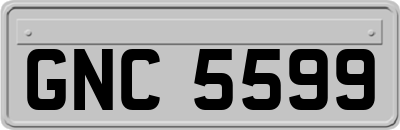 GNC5599