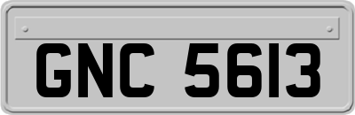 GNC5613