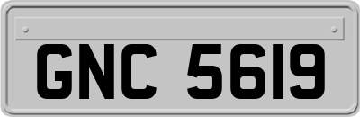 GNC5619