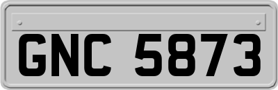 GNC5873