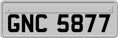 GNC5877