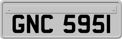 GNC5951