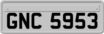 GNC5953