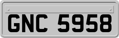 GNC5958