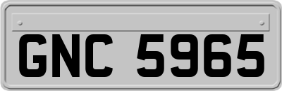 GNC5965
