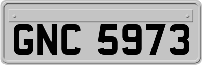 GNC5973