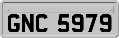 GNC5979