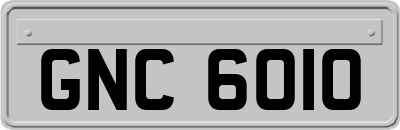GNC6010