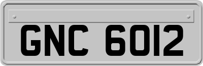 GNC6012