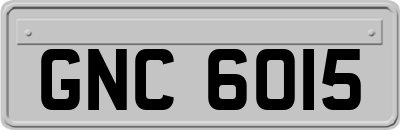 GNC6015