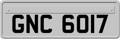 GNC6017