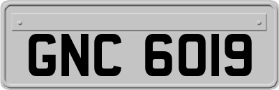 GNC6019