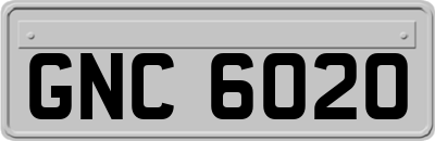 GNC6020