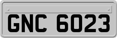 GNC6023