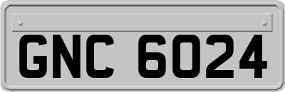 GNC6024