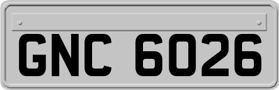 GNC6026