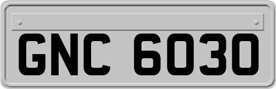 GNC6030