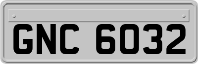 GNC6032