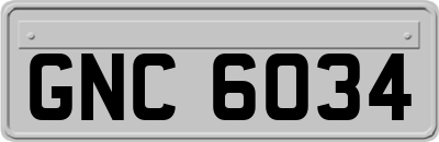GNC6034