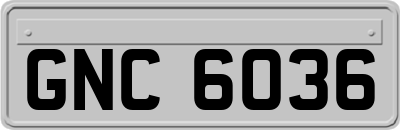 GNC6036