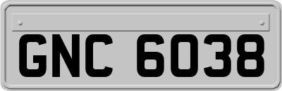 GNC6038